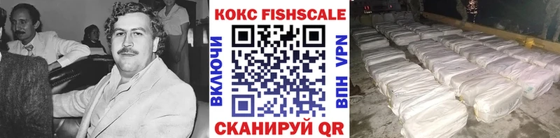 Cocaine FishScale  Троицк 