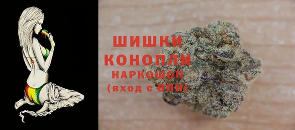 стаф Белокуриха