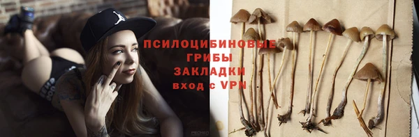 стаф Белокуриха