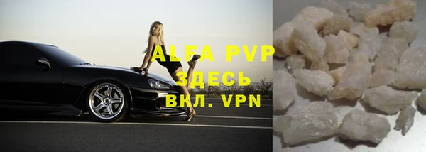 стаф Белокуриха