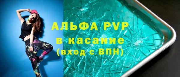стаф Белокуриха