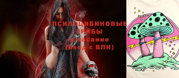 a pvp Осинники