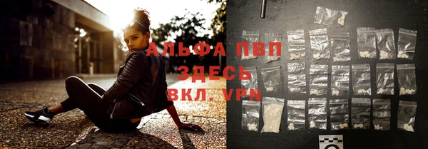 стаф Белокуриха