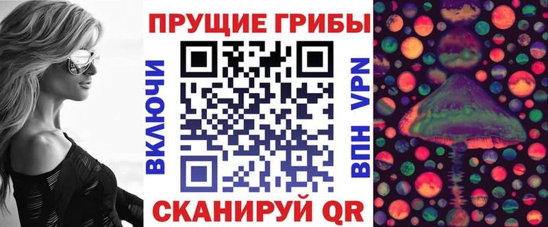 Галлюциногенные грибы Cubensis  где купить наркоту  omg   Троицк 